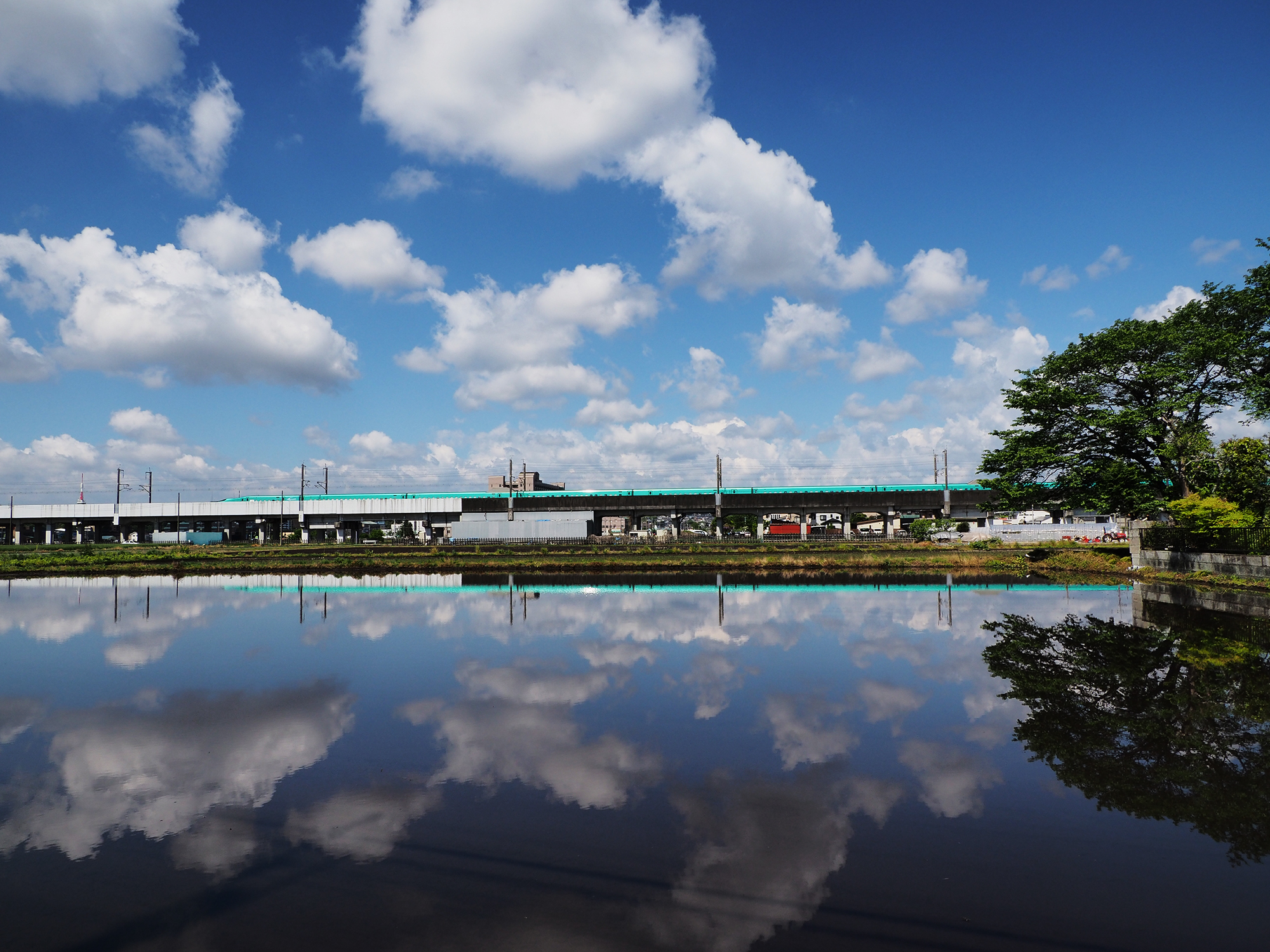 水田に現れた水鏡（5月3日）