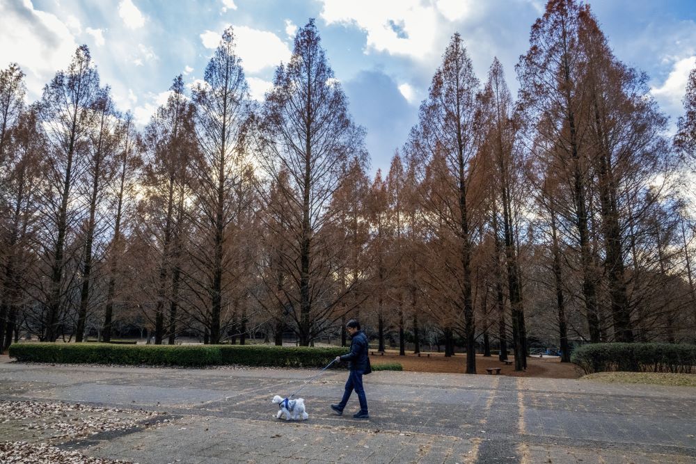 長岡公園、散歩の方と。（大川さん撮影）