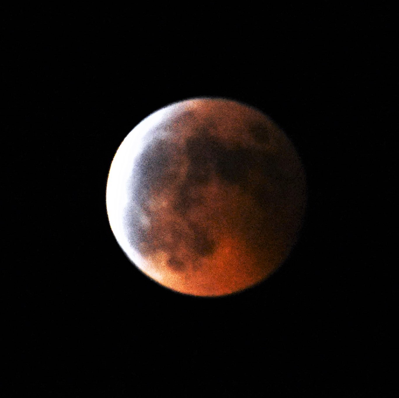 空には紅い月　皆既月食（11月8日午後８時５４分）