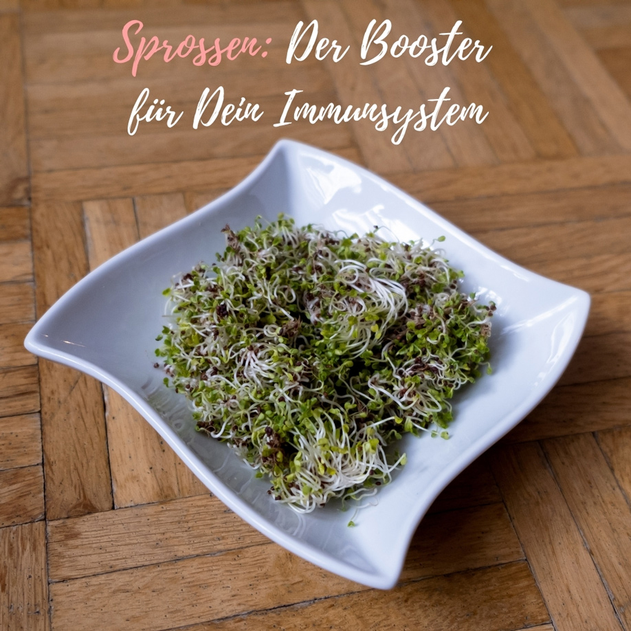 Brokkolisprossen sind clevere Immunsystem Booster Brokkoli & Brokkolisprossen sind für ihre heilende und vorbeugende Wirkung bekannt. Unter den Keimlingen sind die Brokkolisprossen in vielen Kategorien Spitzenreiter. Dank der wertvollen Inhaltsstoffe liefern sie einen Boost für das Immunsystem | Hot Port Life & Style | Deutscher Mode & Lifestyle Blog