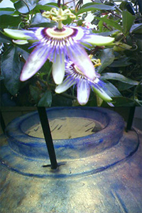 Photographies - 2uos