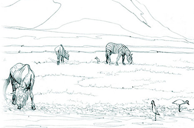 Dessins - Paysages