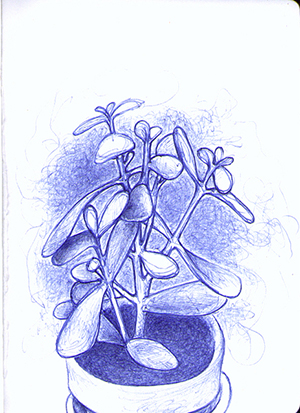Dessins - Plantes bleues