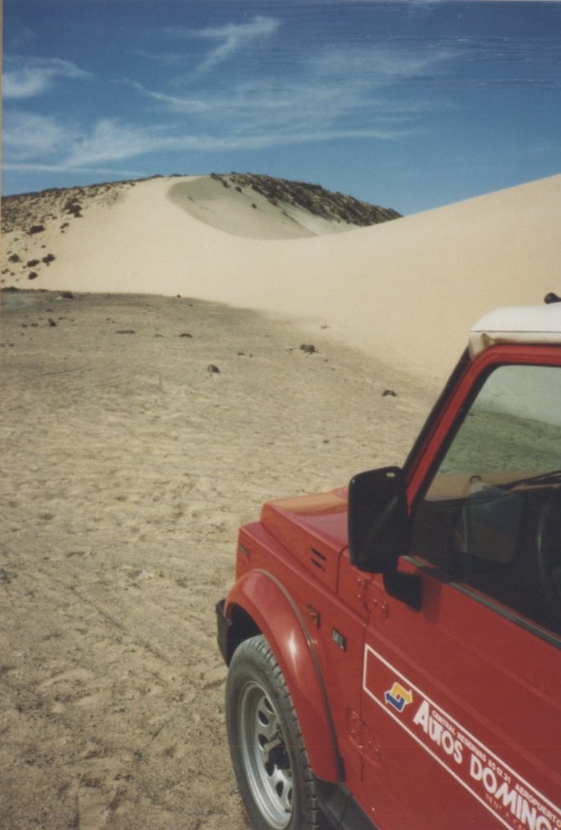 1995  Fuerteventura : Costa calma Dünen