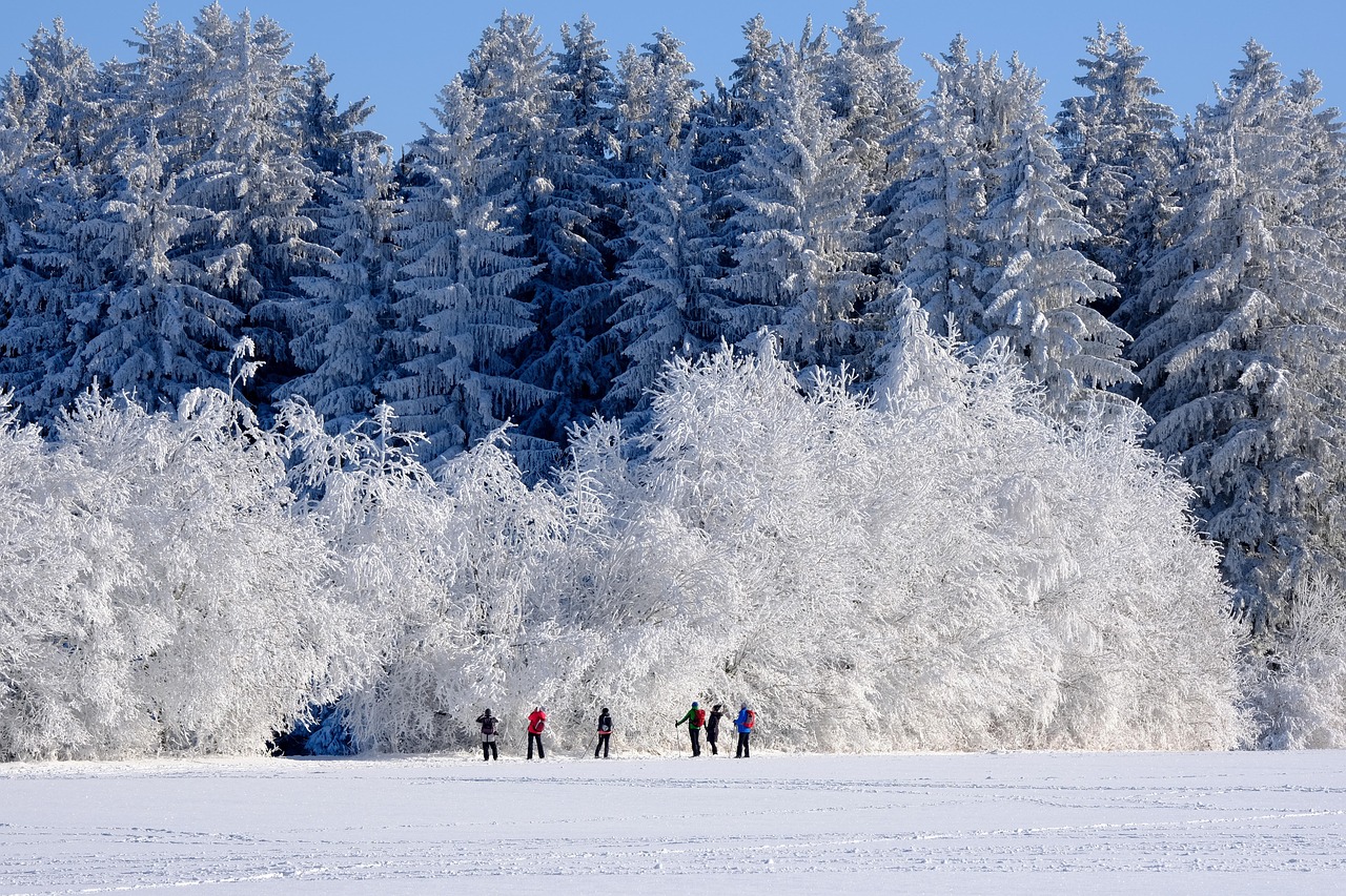 When is the Best Time to Visit Lapland: Winter or Spring?