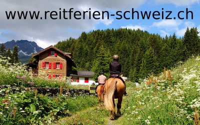 Reitferien Schweiz