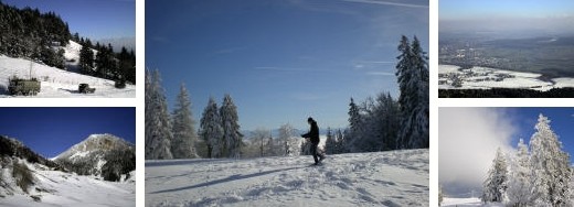 schneeschuhtouren grenchenberg