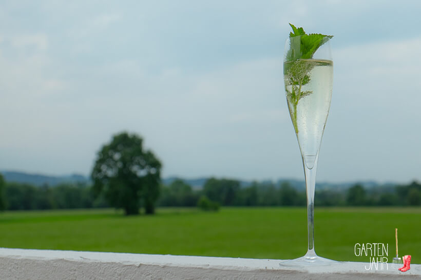 kühler Sekt mit Zitronenmelissensirup