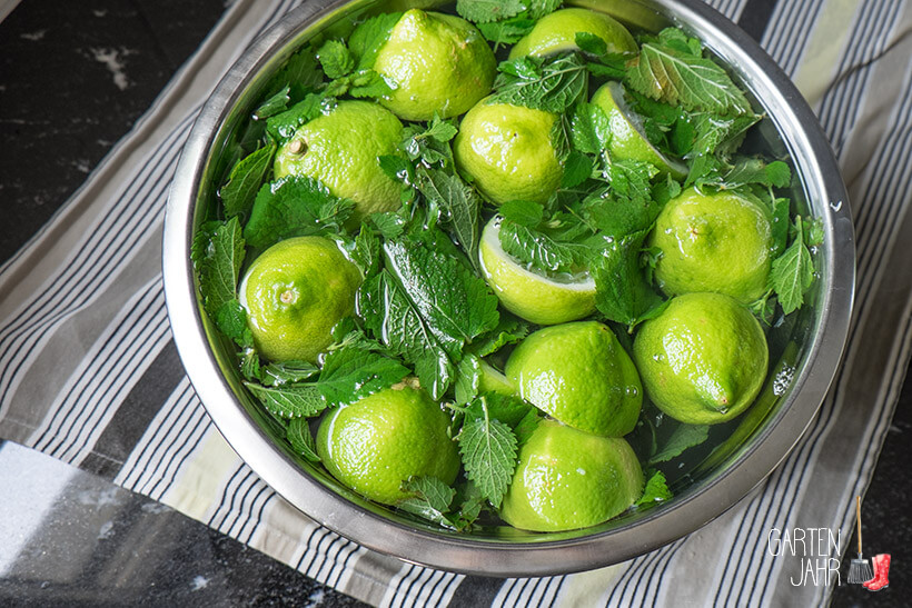 Zitronenmelissesirup Rezept