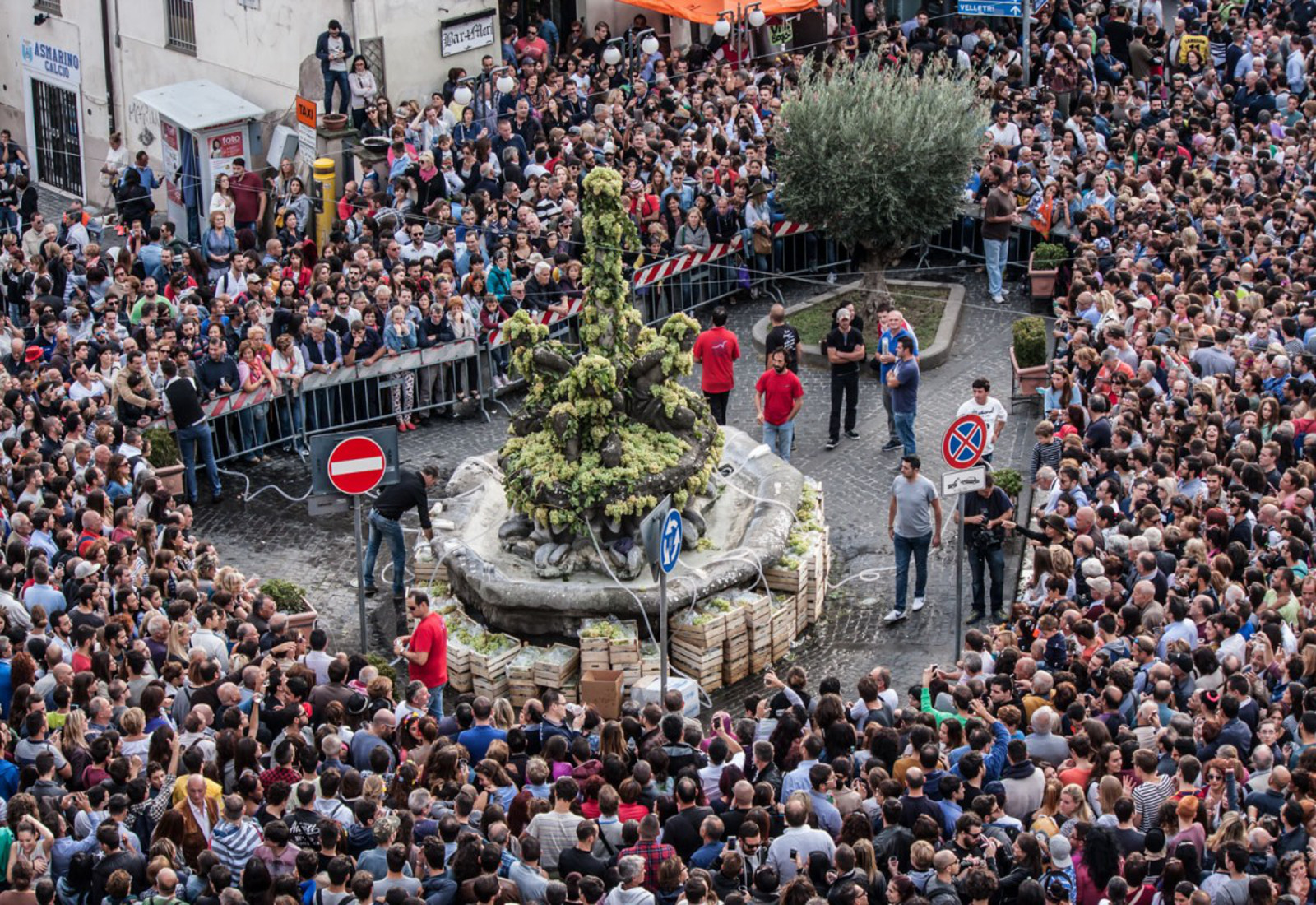 Acquista Ora il Tuo biglietto per la Sagra dell'Uva di Marino Tu Bevi