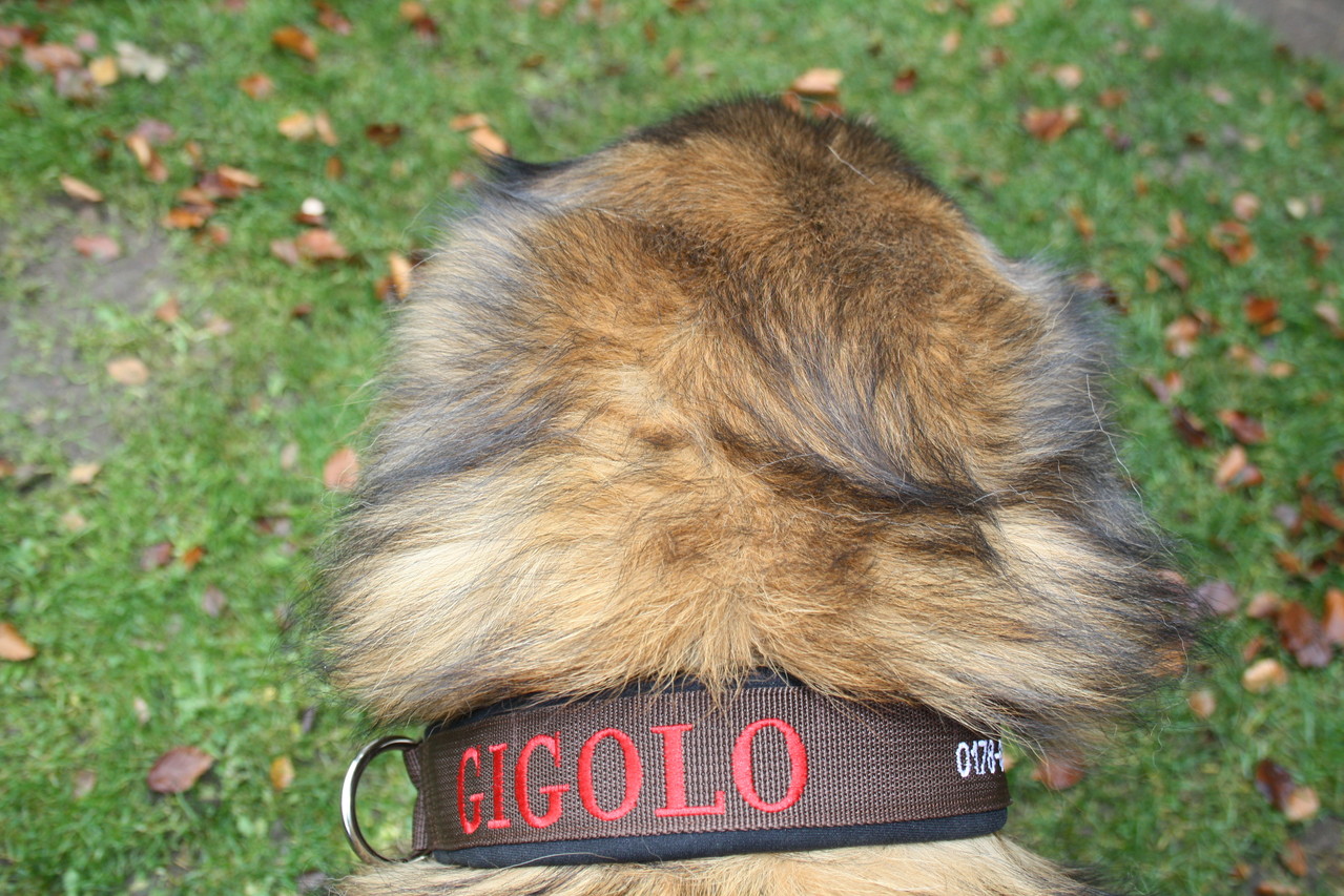 Tierheilpraxis Shop Verkauf Tierbedarf Naturheilkunde