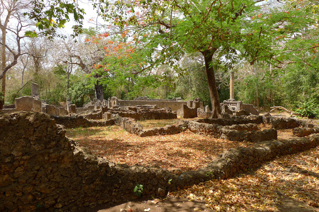 Le rovine di Gedi, Kenya.