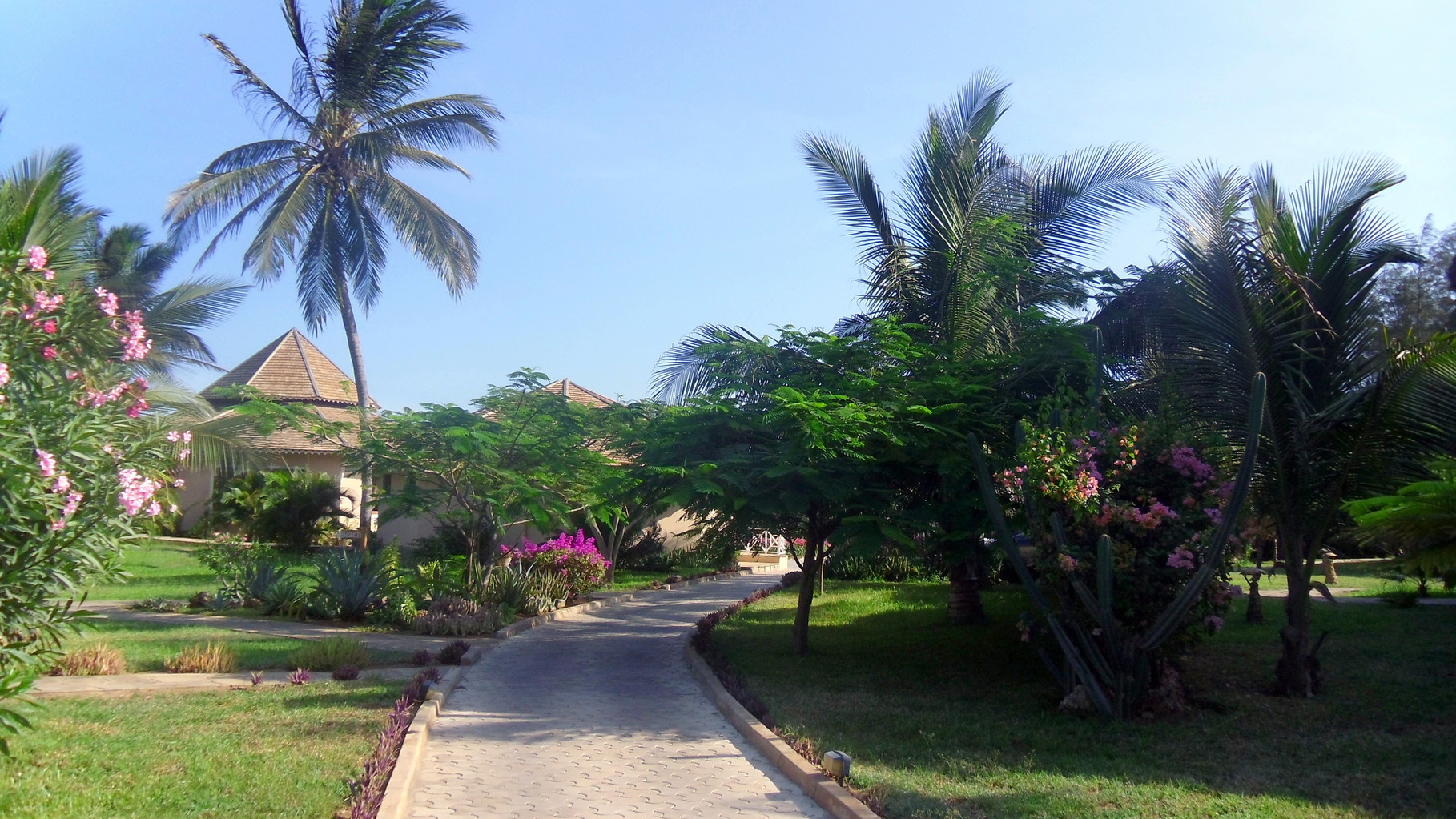 Holiday House Tembo Court Malindi - Gardens. Casa Vacanze Tembo Court Malindi -  Giardini