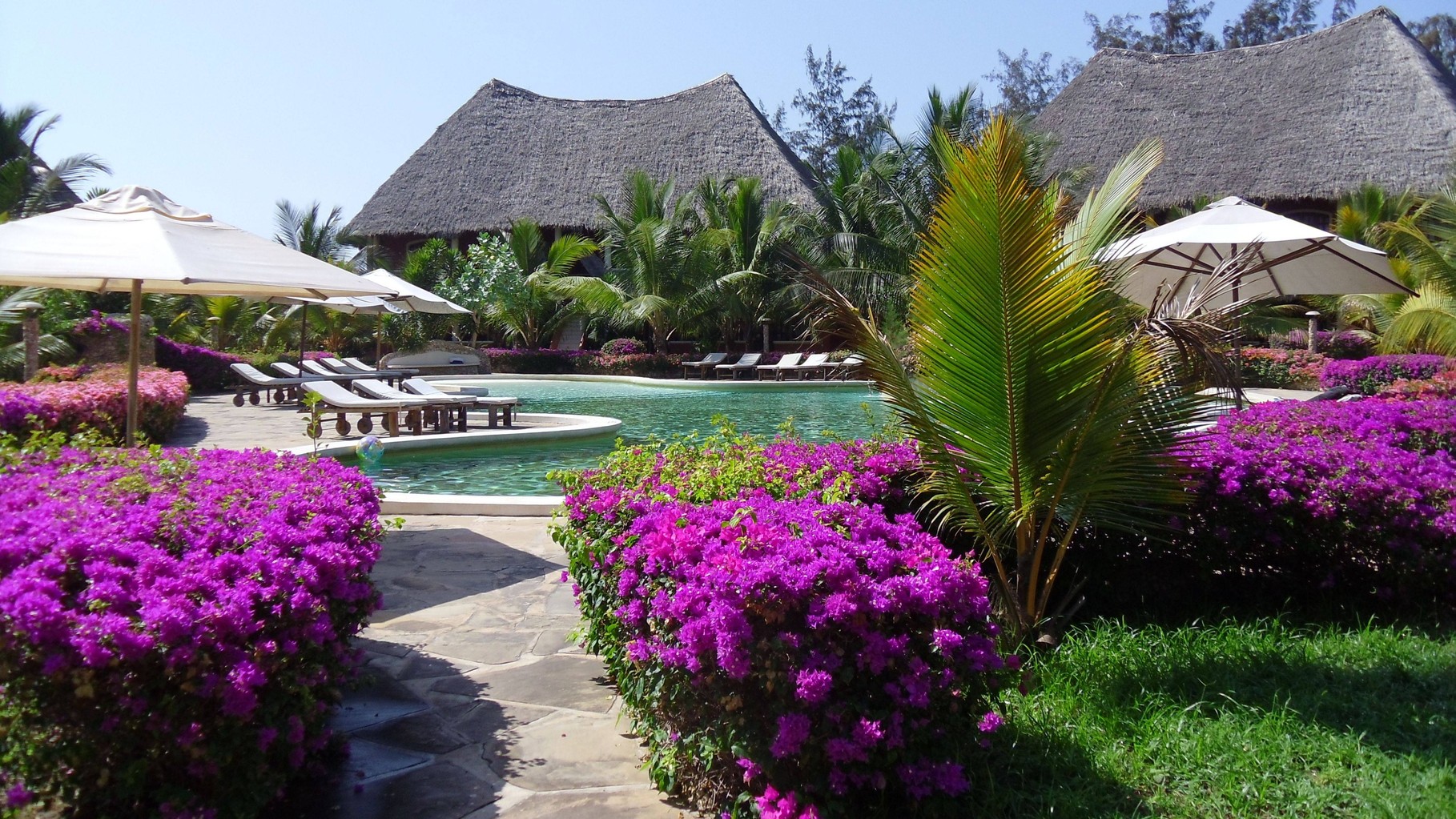 Holiday House Tembo Court Malindi - Pool