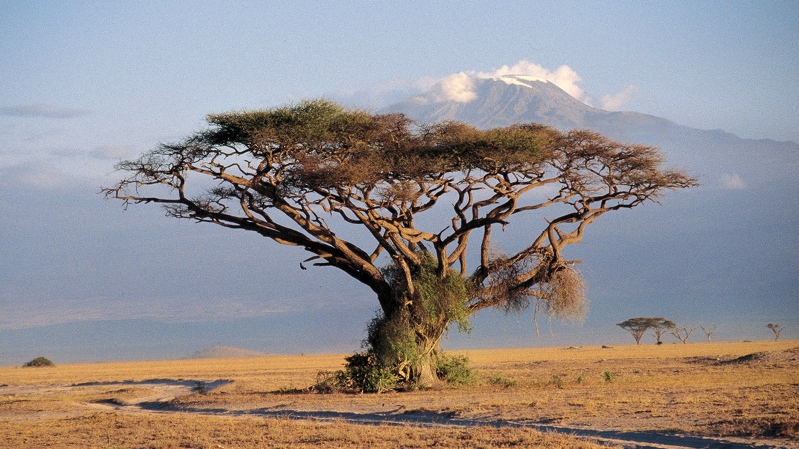 Amboseli National Park