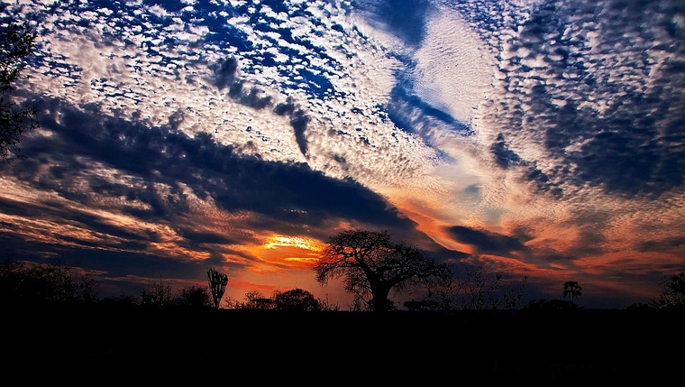 Sunset in the african savannah