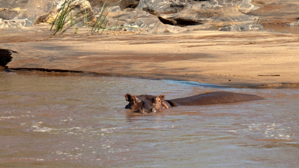 AthiGalanaSabaki River Vacanze e Turismo in Kenya Viaggio