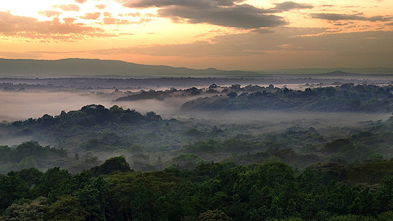 Kakamega Forest National Reserve