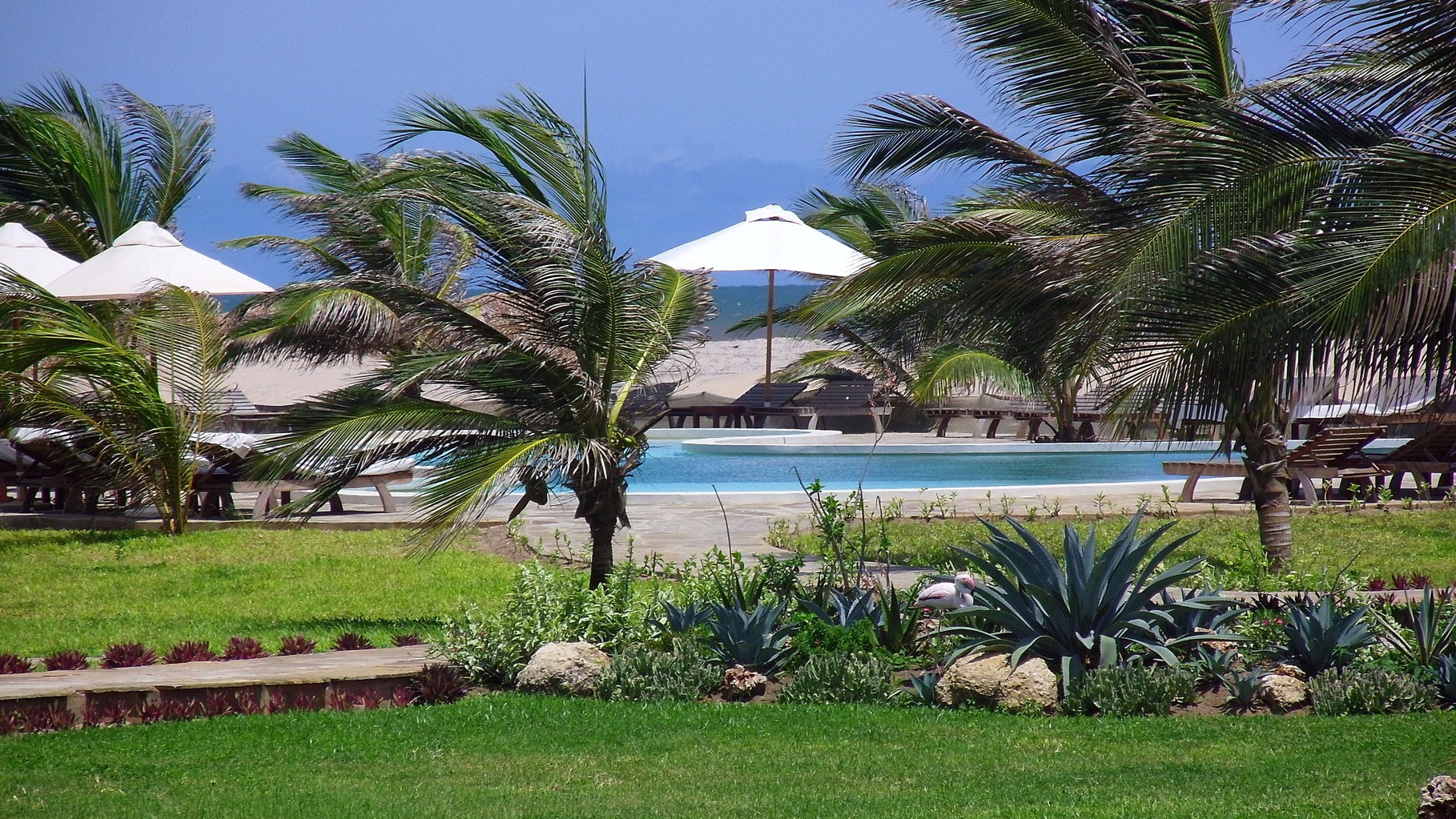 Holiday House Tembo Court Malindi - Beachfront Pool. Casa Vacanze Tembo Court Malindi -  Piscina fronte mare