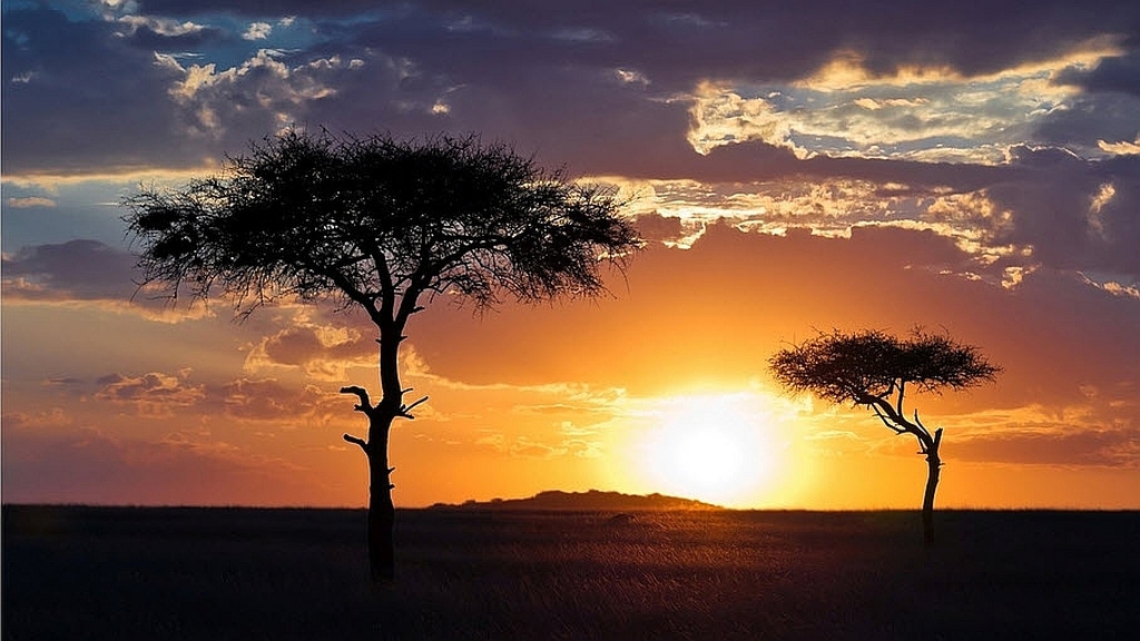 Sunset in the african savannah
