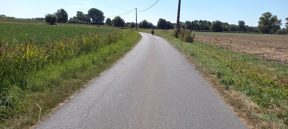 Frauen Wortgottes Feier  Allein sein! = Einsam sein?