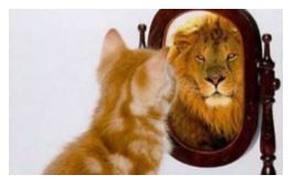 Miroir image de soi