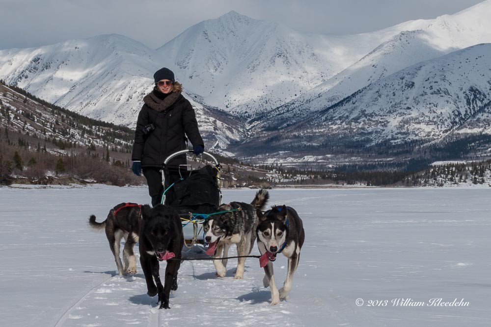 Sur le lac gelé du Lac Bennett, avec mon attelage de chiens