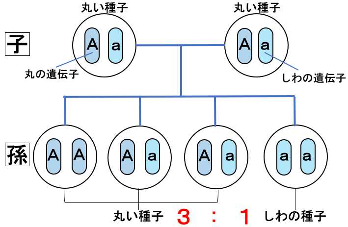 中３理科 教科の学習