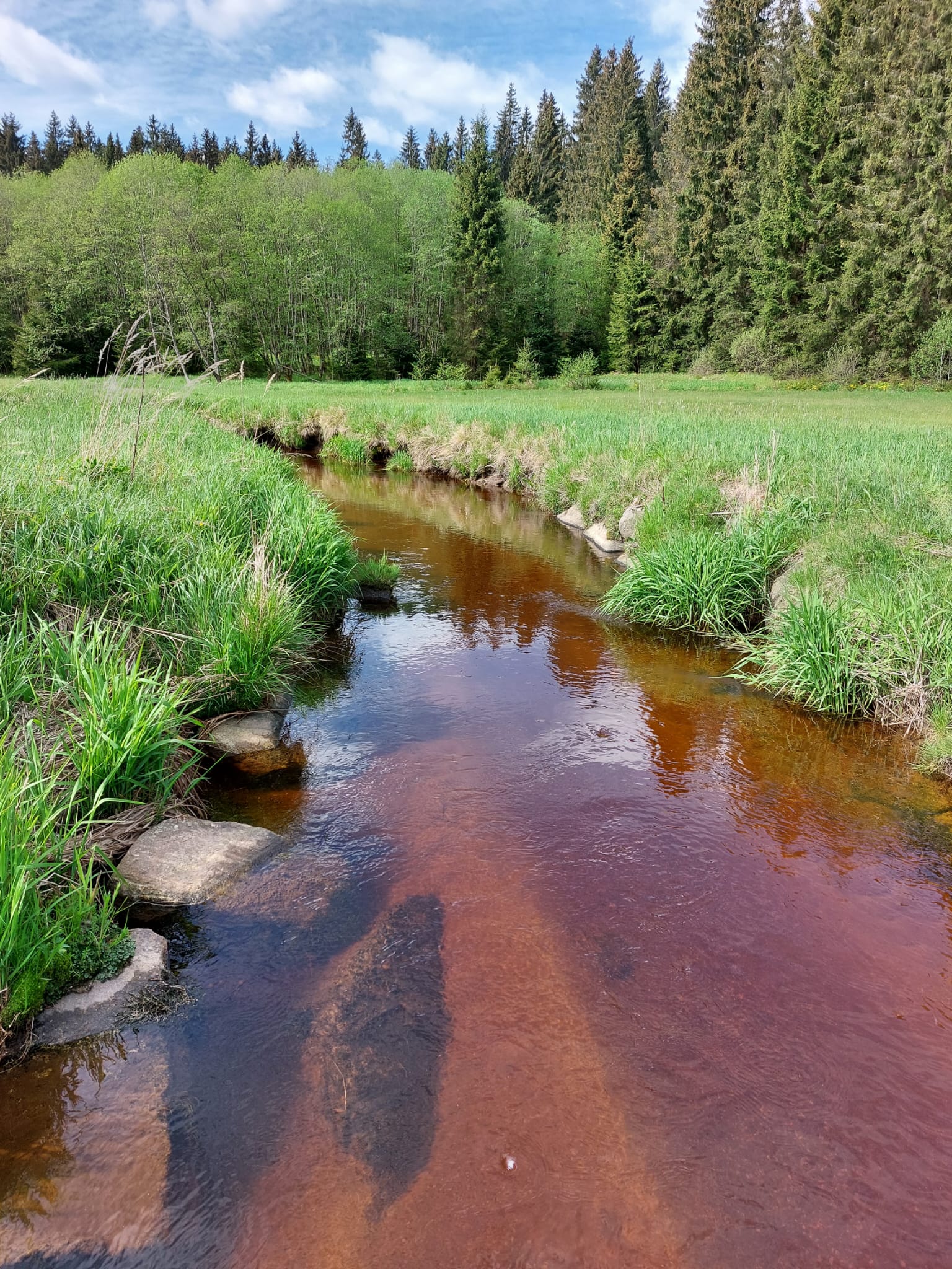 Natur