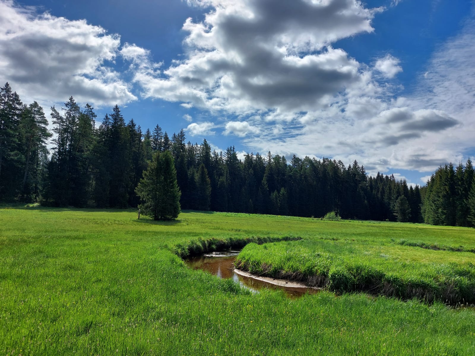 Natur