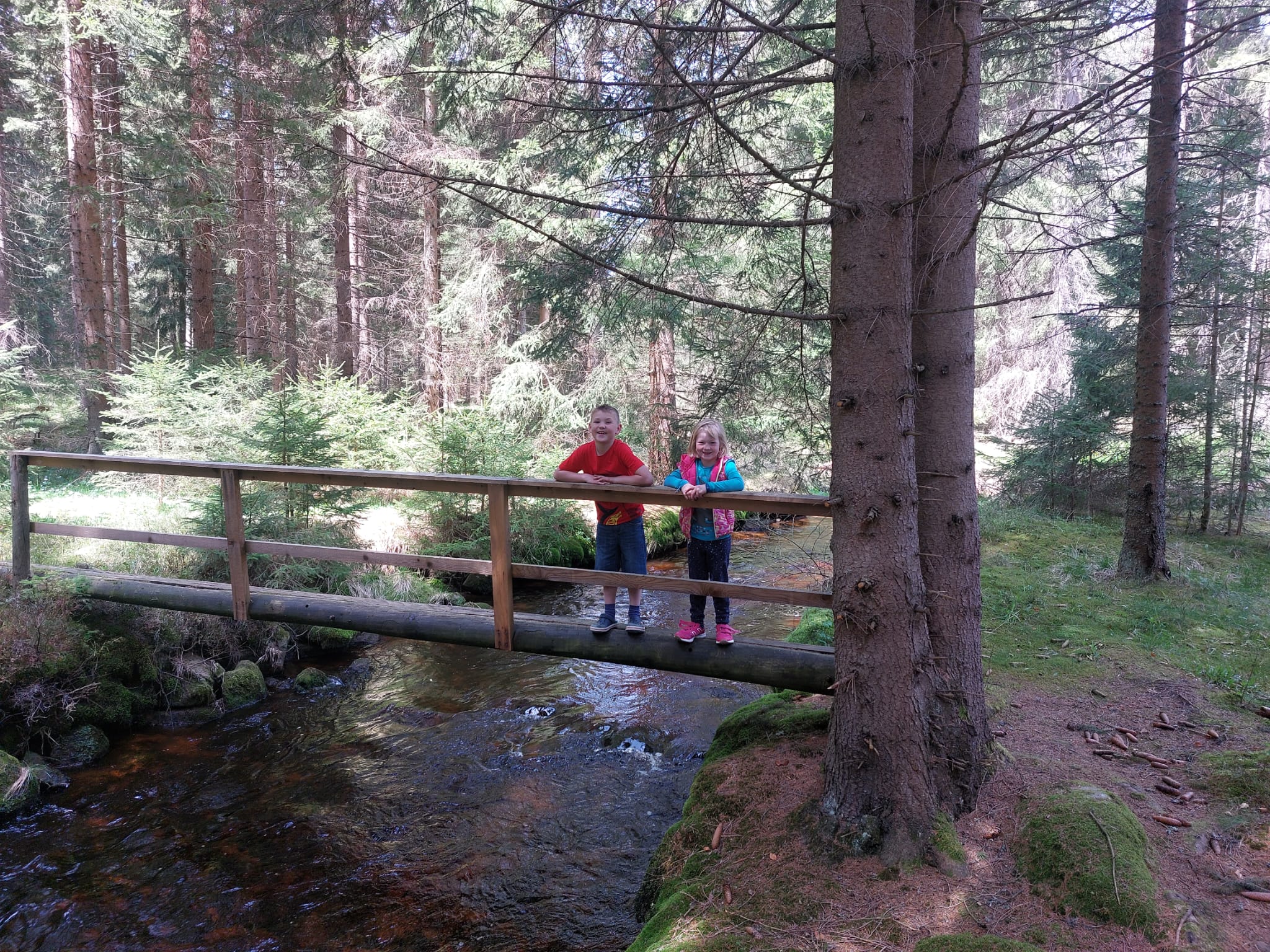 Natur