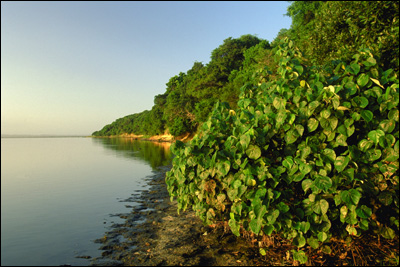 iSimangaliso Wetland Park