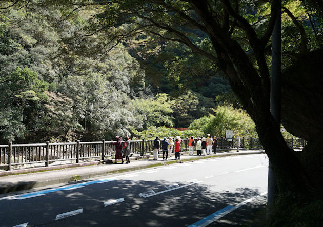 緑の中、奇絶峡の景色を見ながら歩きます。