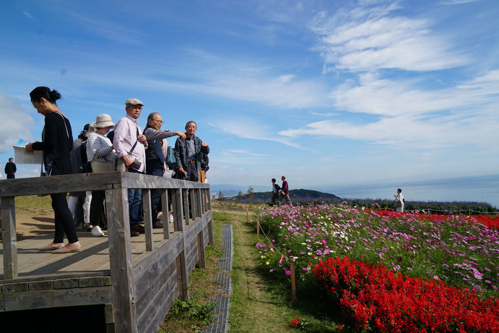 晴れ渡った青空と花々に囲まれた「花さじき」です。