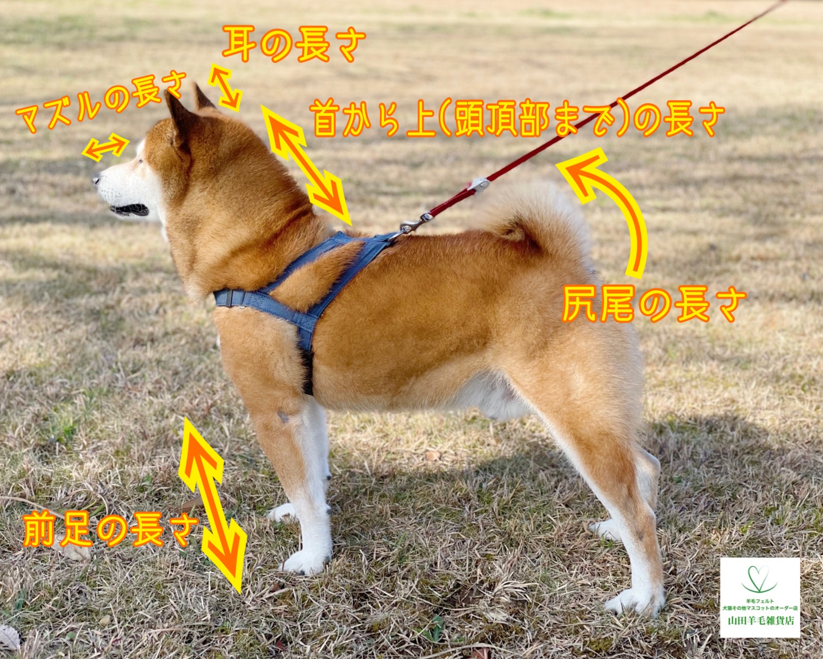 ☆うちの子等身大サイズマスコット - 羊毛フェルトのリアル 犬 猫 等