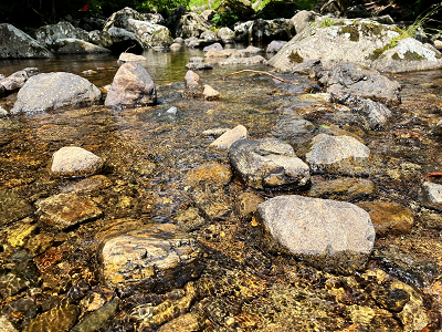 休日の川遊び