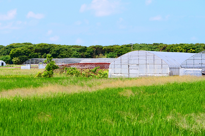 相続した不要な土地を国が引き取ってくれる「相続土地国庫帰属制度」をご紹介