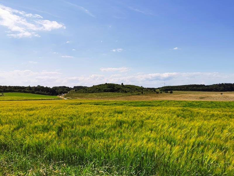 hutförmige Hügel im Süden Langelands