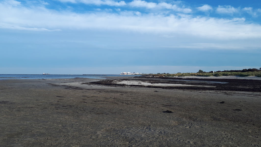Blick zum Hafen Puttgarden mit den Fähren