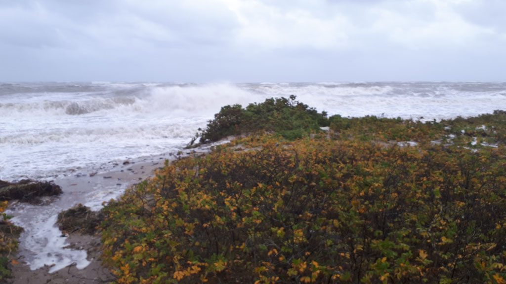 Wenkendorfer Strand: Blick nach Nordwesten