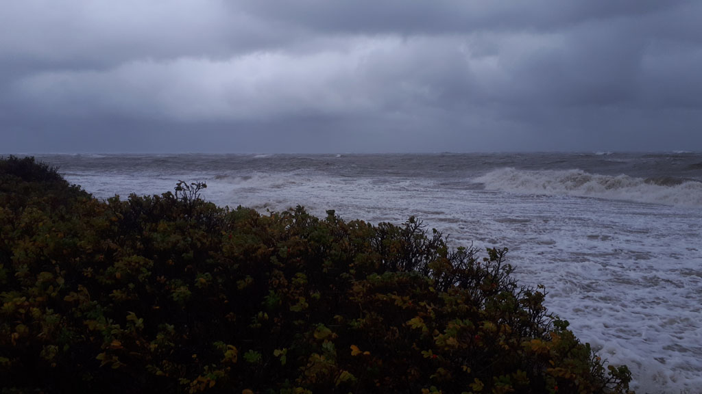 Wenkendorfer Strand: Blick nach Westen