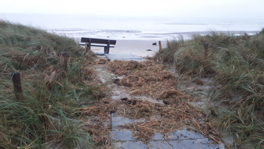 Die Düne hat ganz schön gelitten