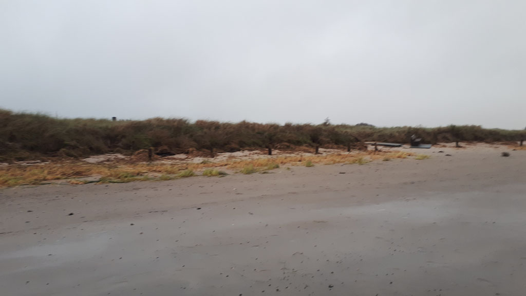 Bis dahin, wo die Pfosten aus dem Boden schauen, war die Düne