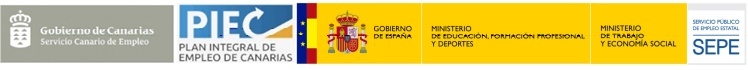 Gobierno de Canarias - Plan Integral de Empleo de Canarias