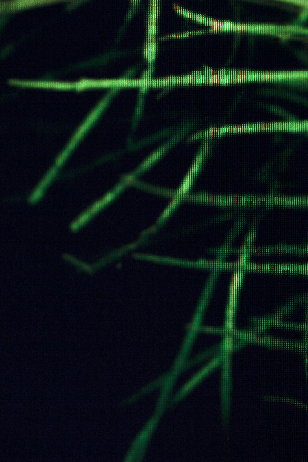 untitled2 (grass), tv series, 2015, 20x30cm, inkjet print on archival paper, 8 + 2AP