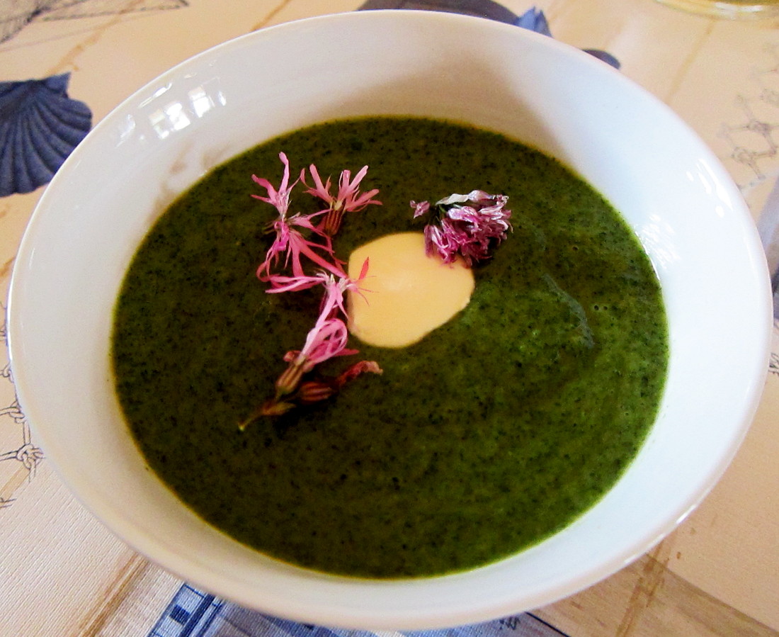 Brennesselsuppe mit und aus gesammelten Pflanzen