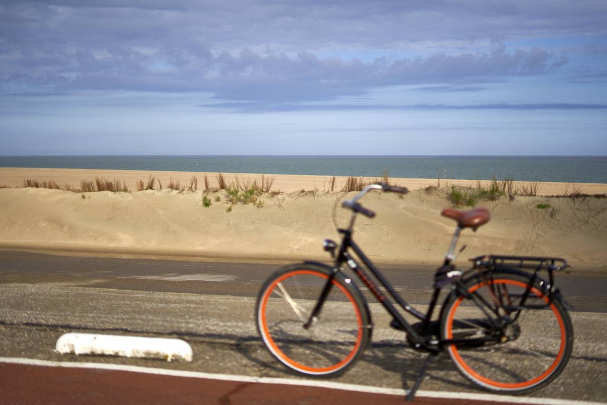 5 itinéraires secrets pour visiter Anglet à vélo
