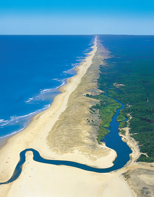 Le Courant d’Huchet, un marais mystique dans les Landes vu du ciel