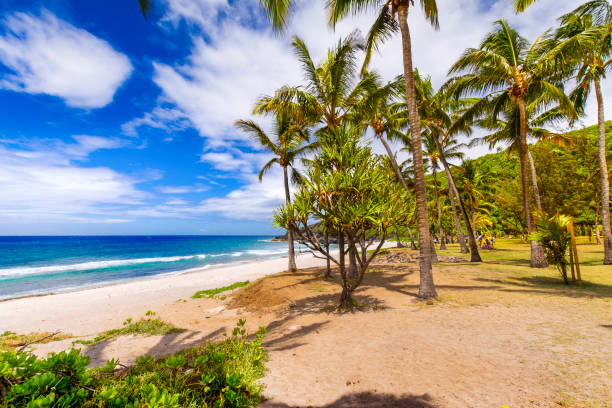 Séjour à La Réunion : les plus beaux hôtels, plages et activités à découvrir