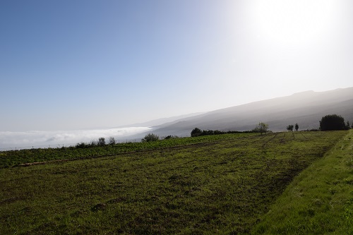 Landschaftsbild auf Teneriffa